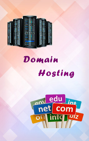 domain hosting padappai